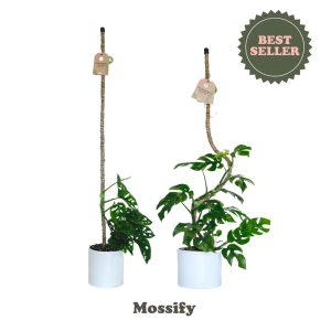 Original Bendable Coir Pole – Mossify – 42″