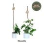 Original Bendable Coir Pole – Mossify – 42″