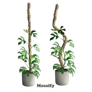 Mossify Original Bendable Moss Pole 42″ (Pins Included)