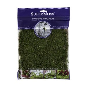 Sheet Moss Preserved 80 cu.in. – Fresh Green