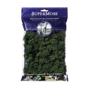 Reindeer Moss Preserved – Forest Green