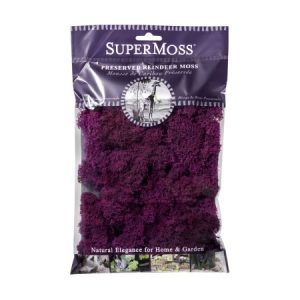 Reindeer Moss Preserved – Fuchsia