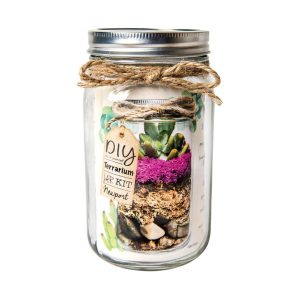 DIY Terrarium Jar Kit - Newport