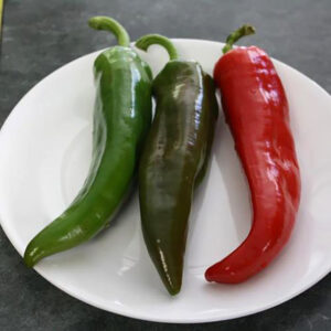 Pepper – Biggie Chile – 4″ Pot