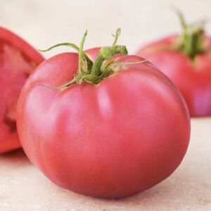 Tomato – Pink Girl – 4.5″ Pot