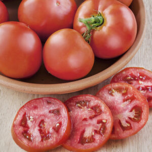 Tomato – Better Bush – 6.5″ Pot