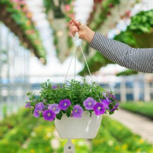 Combo – Blue Ridge – 10″ Hanging Basket