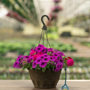 Combo – Mermaid Tails – 12″ Fiber Hanging Basket