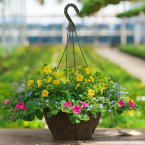 Combo – Pink Lemonade – 12″ Fiber Hanging Basket