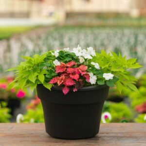 Shade Combo – White – 12″ Patio Pot