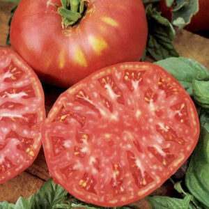Tomato – Brandywine Pink – 4″ Pot