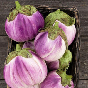 Eggplant – Rosa Bianca – 4″ Pot