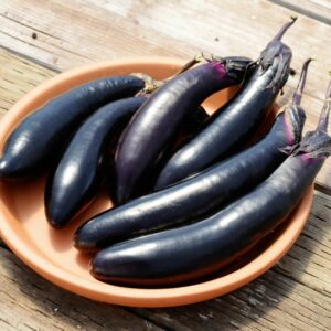 Eggplant – Millionaire – 4″ Pot