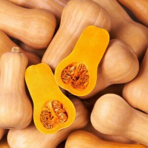 Squash Butternut – Waltham – 4″ Pot