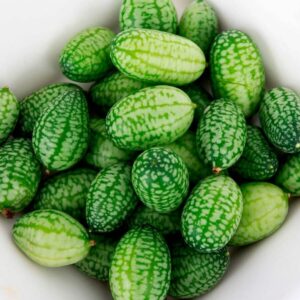 Cucamelon – Mexican Sour Gherkin – 4″ Pot