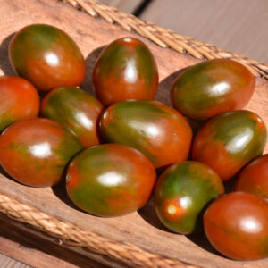 Tomato – Chocolate Sprinkles – 4″ Pot