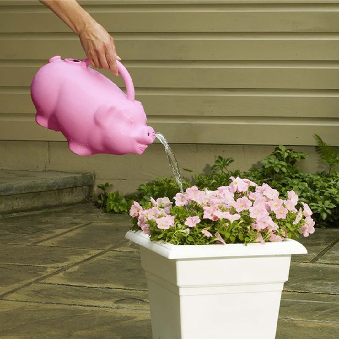 Mahoney's Garden Centers | Babs the Pig Watering Can - Pink - 1.75 gal ...