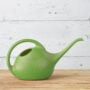 Indoor Watering Can – Green – 0.5 gal