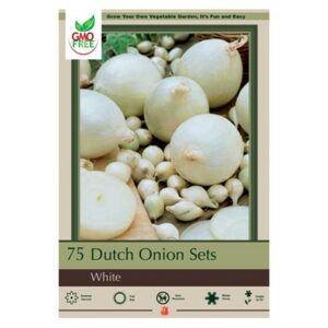 Dutch Onion – White – 75 Bulb Pack