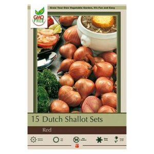 Dutch Shallot – Red – 15 Bulb Pack