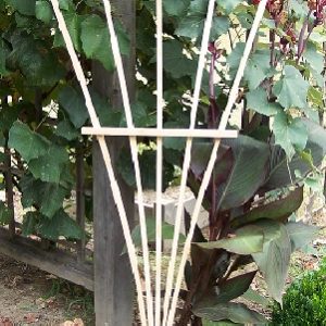 FAN TRELLIS – 6′