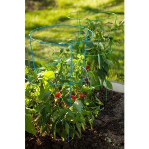 TOMATO CAGE IN BLUE – 42″