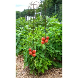 3 PANEL PEA TRELLIS – 60″