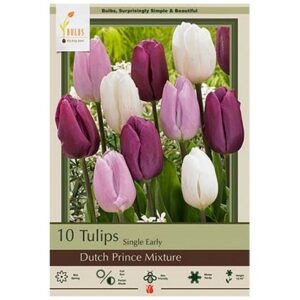 Tulip Single Early – Dutch Prince Mix – 10 Bulb Pack