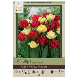 Tulip Double Early – Red & Yellow Mix – 8 Bulb Pack