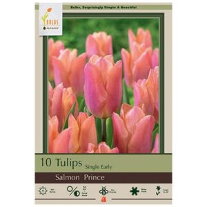 Tulip Single Early – Salmon Prince – 10 Bulb Pack