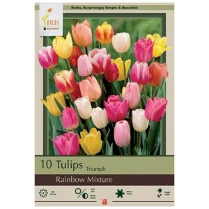 Tulip Triumph – Rainbow Mix – 10 Bulb Pack