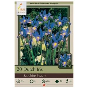 Iris Hollandica – Sapphire Beauty – 20 Bulb Pack