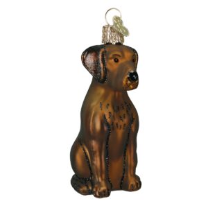 Chocolate Labrador Glass Ornament – Old World Christmas