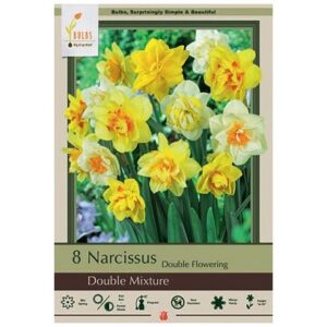 Narcissus Double Flowering – Double Mix – 8 Bulb Pack