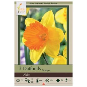 Narcissus Trumpet – Akita – 3 Bulb Pack