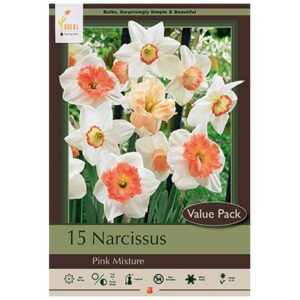 Narcissus – Pink Mix – 15 Bulb Value Pack