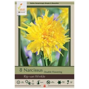 Narcissus Double Flowering – Rip Van Winkle – 8 Bulb Pack