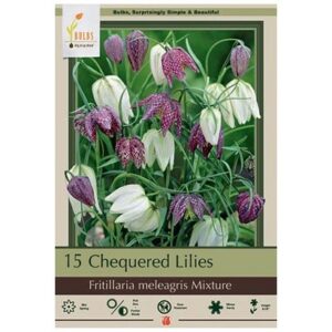 Fritillaria Meleagris Mix – 15 Bulb Pack