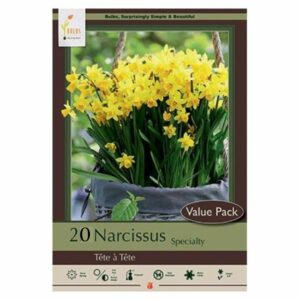Narcissus Specialty – Tête à Tête – 20 Bulb Value Pack