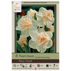 Narcissus Double Flowering – Rosy Cloud – 8 Bulb Pack