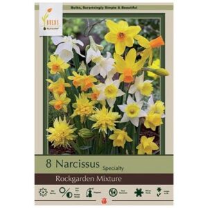 Narcissus Specialty – Rock Garden Mix – 7 Bulb Pack