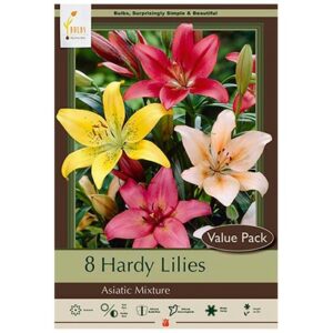 Lilium Asiatic Mix – 8 Value Pack