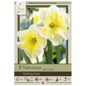 Narcissus Split Corona – Smiling Twin – 8 Bulb Pack