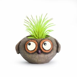 Brown Owl Planter