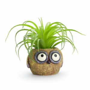 Yellow Owl Planter