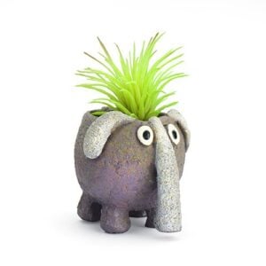 Baby Dinky the Elephant Planter - Blobhouse - 2.5"