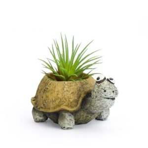 Baby Preston the Tortoise Planter – 4.75″