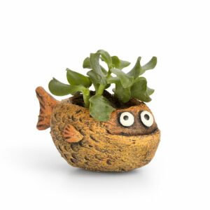 Fish Planter