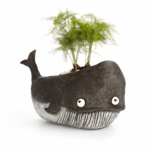 Whale Planter