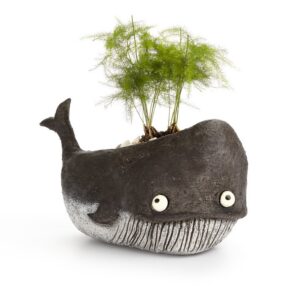 Goliath the Whale Planter – 5″